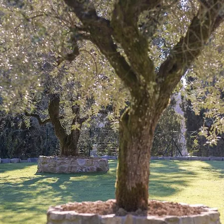 Bed and breakfast Rivo Della Corte Pistoya