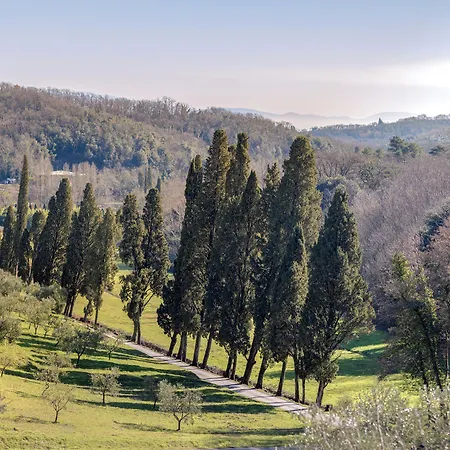 Rivo Della Corte Pistoia